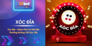 Bật Mí Quy Tắc Chơi Xóc Đĩa - Săn Thưởng Khủng Với KUBET